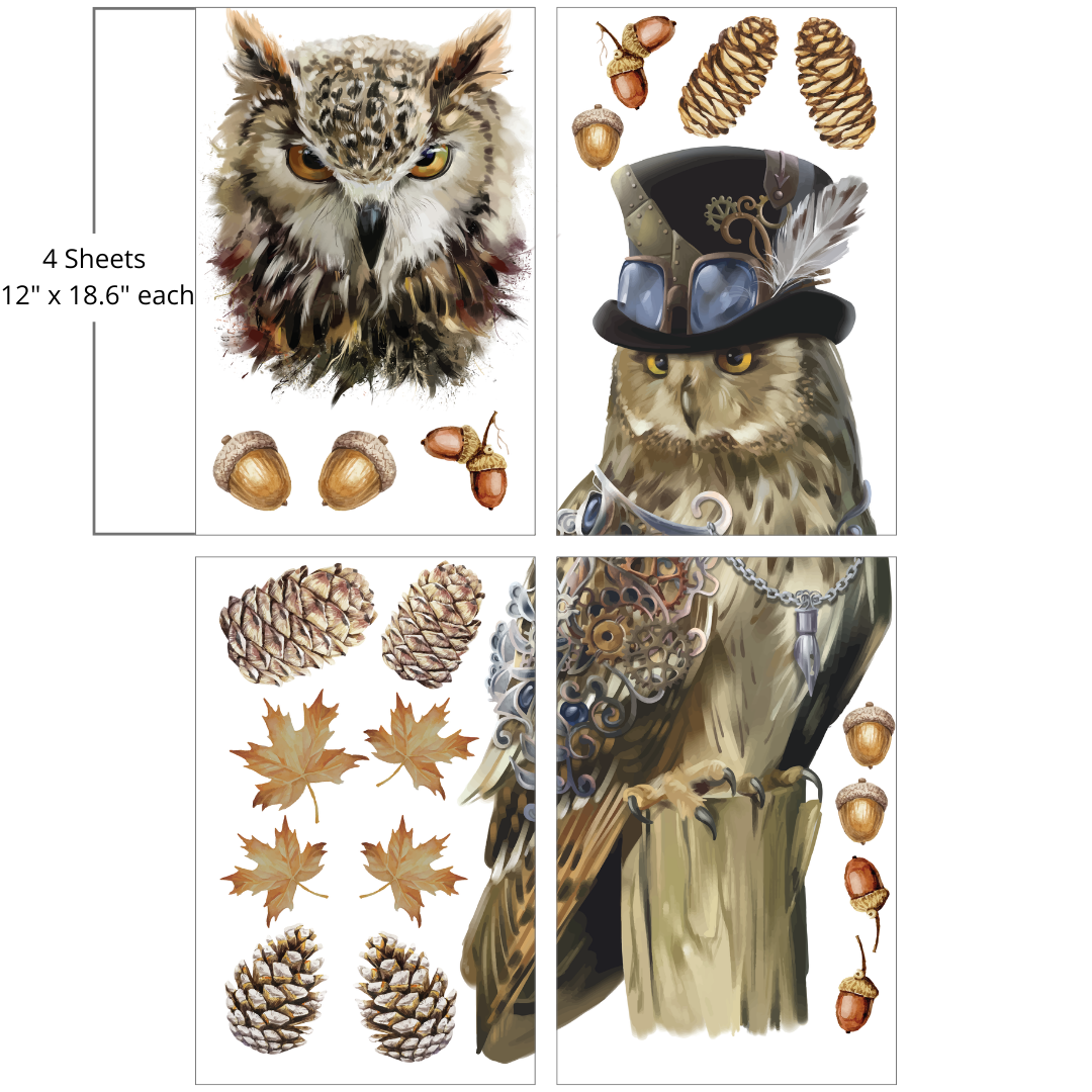 Steampunk Owl Adventure - Large Transfer
