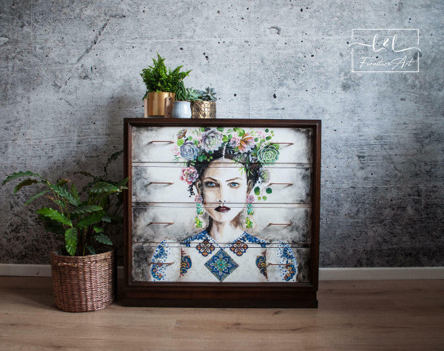 Cacti & Succulents - Transfer