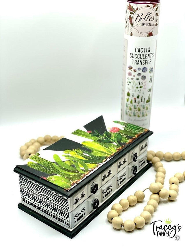 Cacti & Succulents - Transfer