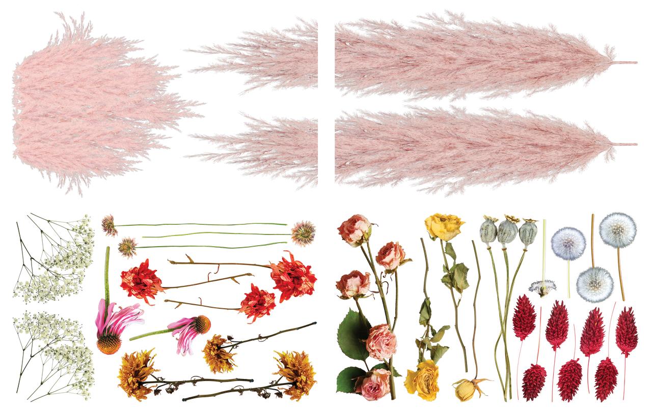 Pink Pampas and Dried Wilds Large Transfer