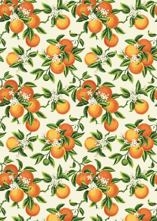 Vintage Oranges - A3 Rice Decoupage Paper