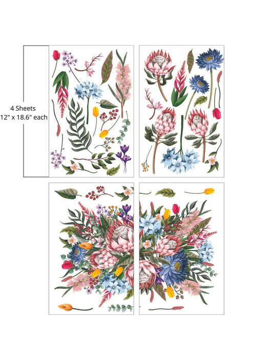 King Protea Large Transfer