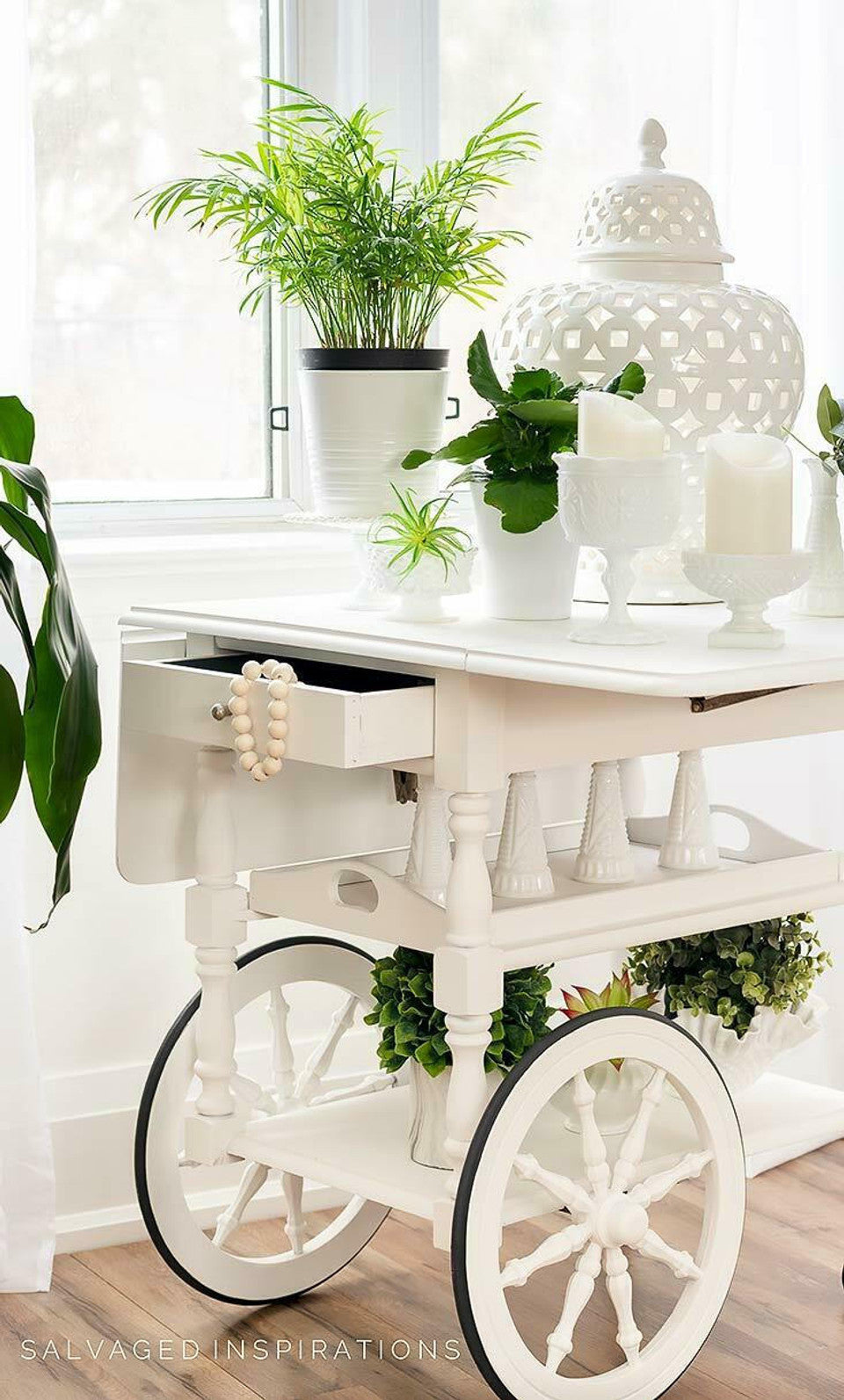 Salt Water Silk All-In-One Mineral Paint