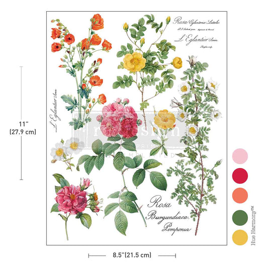 H2O Transfers Single Sheet – Poetry In Petals – 1 sheet, 8.5″x11″