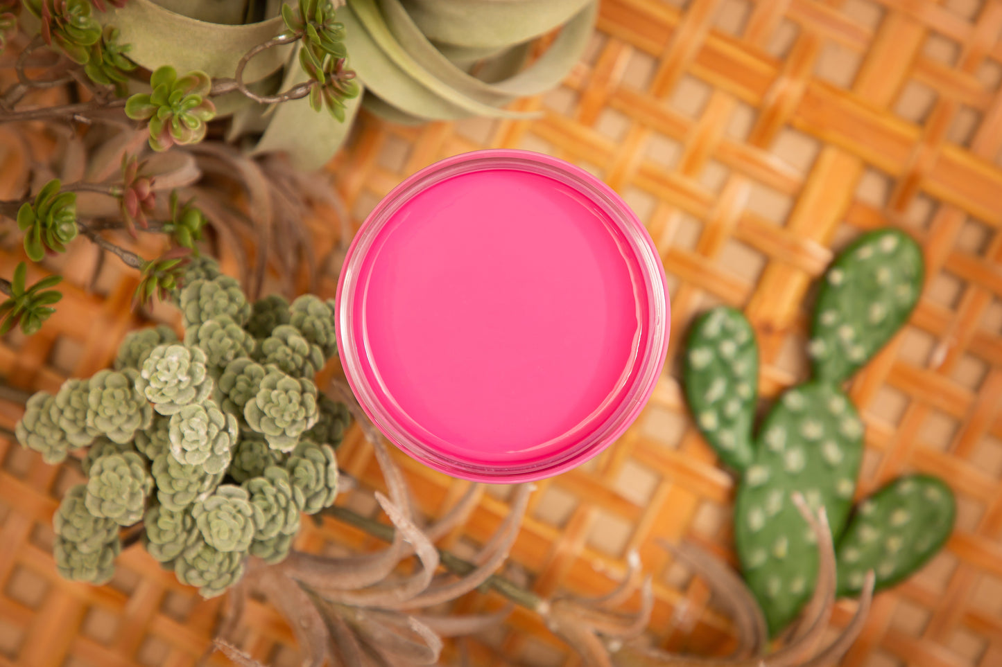 Prickly Pear Silk Paint