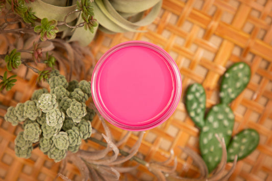 Prickly Pear Silk Paint