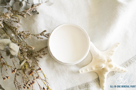 Salt Water Silk All-In-One Mineral Paint
